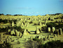australia - the pinnacles western australia.jpg